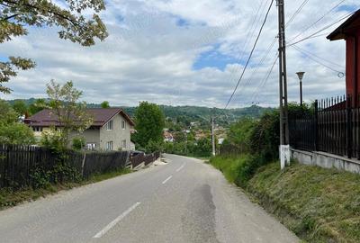 Teren de 4200 mp, în Ocina de Sus - 2