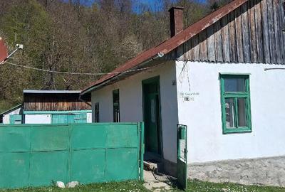 Casă cu Teren 4000 Mp în Central - 9