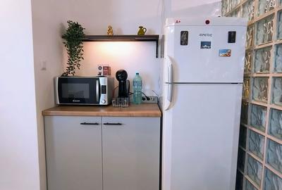 Apartament cu 2 camere, mobilat în Grivița - 12