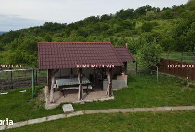 Casă cu 5 camere cu Teren 800 Mp în Valea Borcutului - 3