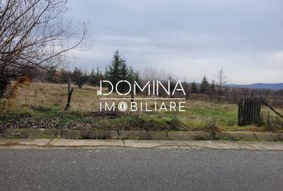 Teren Construcții intravilan de 5000 mp, în Central - 8