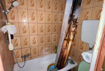 Casă individuală cu 10 camere cu Canalizare în Timpuri Noi - 3