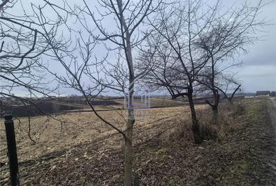 Teren de 2000 mp, în Moara - 2