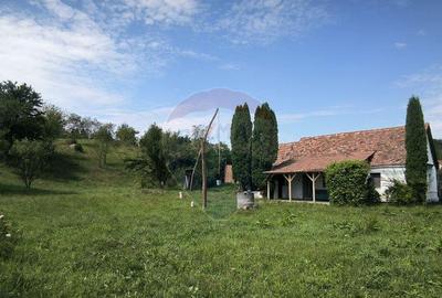 Casa de vacan?a in sat sasesc, Moarda? jude?u... - 16