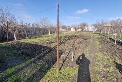 Casă cu 4 camere în Independența - 4