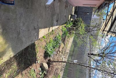 Casă cu 3 camere cu Teren 171 Mp în Plantelor - 7