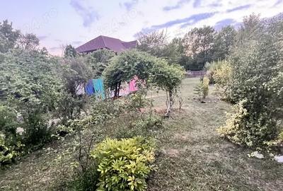 Cauti locatia perfecta . - 3