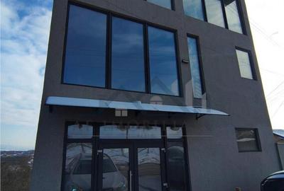 Spatiu comercial Lunca Cetatuii - langa Centura - 30