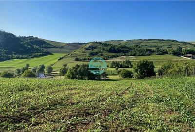 Vand teren intravilan in Sanisor cu suprafata de 4946 mp - 5