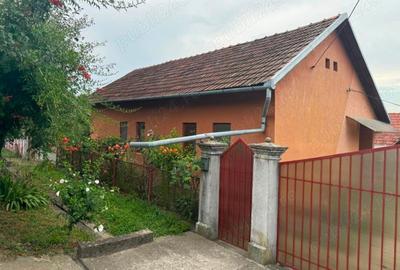 Casă individuală cu 5 camere cu Teren 5200 Mp în Țela - 1