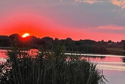 Snagov 2022- Vila la lac piscina si ponton, teren 2050mp - 9