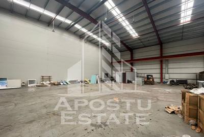 Spațiu comercial, de 600 mp, în Săcălaz