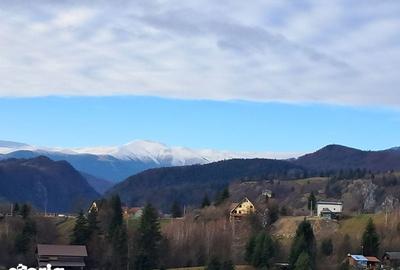 Teren de 1200 mp, în Dâmbovicioara - 3