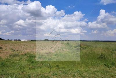 Teren intravilan Ciocanesti Cretu - 9282 mp divizat in 15 loturi - 6