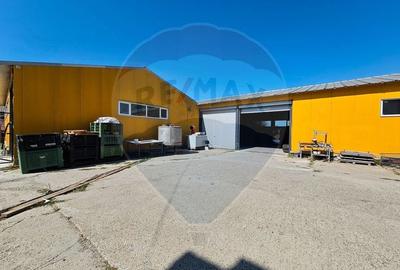 Spațiu industrial, de 5,000 mp, în Gară - 21