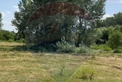 Teren-5000mp DN Ganeasa,sat Sindrilita,T9/Parcela 32/37 - 5