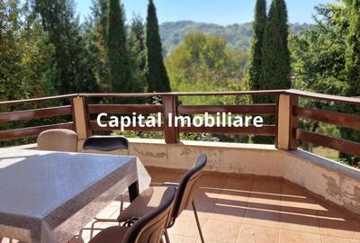 Vila spa?ioasa 5 dormitoare, Provita de Jos - 4