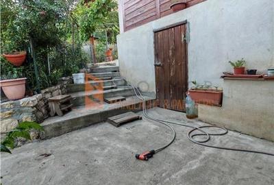 EXCLUSIVITATE! Casa+teren si cabana de lemn zona Naeni - 15
