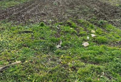 Casă cu 3 camere în Mădrigești - 2