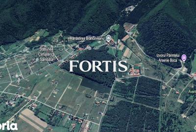 Teren de 9038 mp, în Sâmbăta de Sus