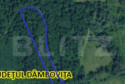 Teren extravilan, 16 ha cu padure ?i vedere panoramica ?? - 2