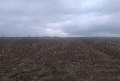 Teren de 5900 mp, în Central - 2