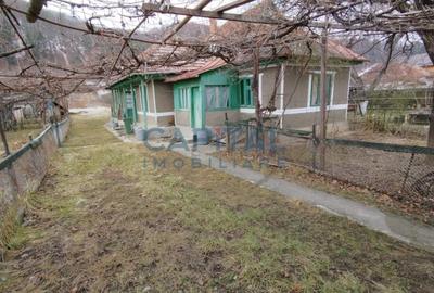 Casa din CARAMIDA * 1680m2 teren PIATRA NEAMT - 6