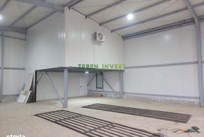 Spațiu comercial, de 242 mp, în Cernica - 14