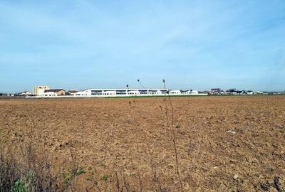 „Corbeanca – aer curat, potențial mare, preț competitiv. 3 loturi cu viitor.” - 4