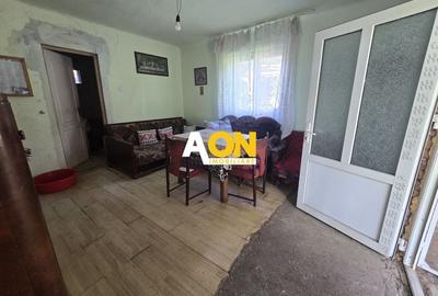 Comision 0%! Casa 3 camere Gura Ariesului, 1500mp Teren - 9