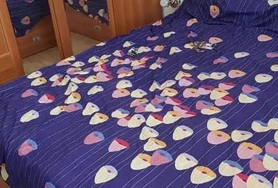 Podu Ros Palas apartament 2 camere 52 mp cu CT - 8