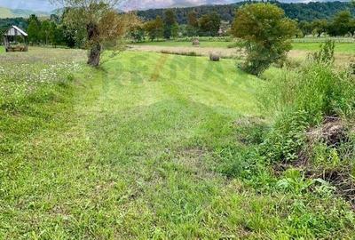 Teren de 1884 mp, în Giulești - 3