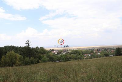 Teren intravilan cu PUZ si PUD 2 loturi - 5