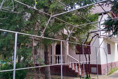 Casă cu 4 camere în Covăsinț - 5