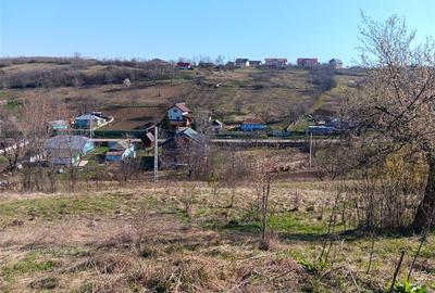 Teren Construcții intravilan de 83000 mp, în Vorovești - 8