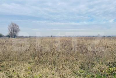 Teren extravilan agricol 5792 mp Popoveni - 3