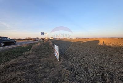 Teren agricol intravilan de 30000 mp, în Nord - 11