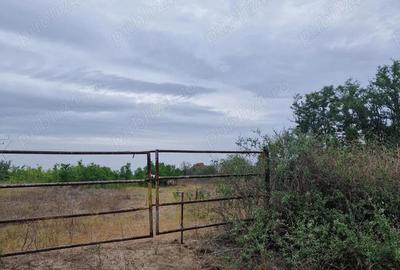 Teren de 5527 mp, în Saraiu - 2