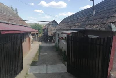 Casa la curte de vanzare in Abus Mures - 5