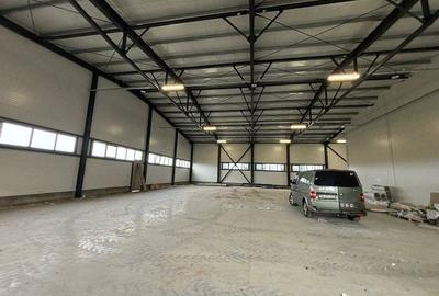 Spatiu industrial, 900 mp , Calea Lugojului Aeroport - 2