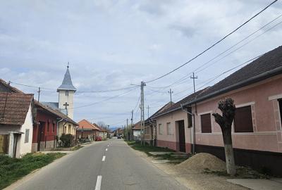 Spațiu comercial, în Petrani - 4