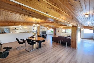 Apartament tip mansarda ultraspatios Polona | St. Cel Mare | Romana - 14