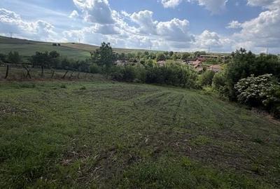 Casă cu 3 camere cu Teren 29000 Mp în Central - 6