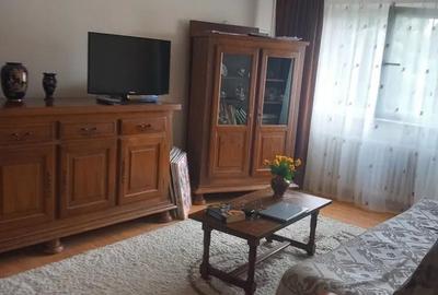 Apartament cu 2 camere decomandat în Craiovița Nouă - 4