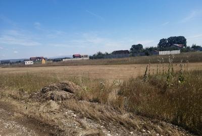 Teren Construcții intravilan de 734 mp, în Hărman