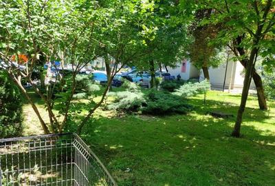 2 Camere Renovat Piata Resita Giurgiului Luica - 7