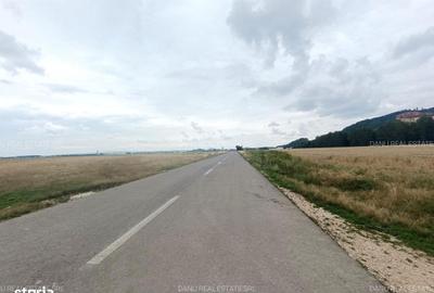 Spațiu comercial, în Bartolomeu - 2