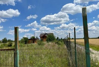 Terenuri Peris - loturi de 800 mp +130mp drum acces - 4