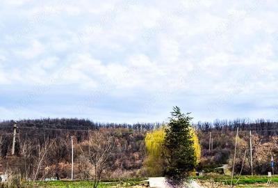 Casa Draganu Arges - 3