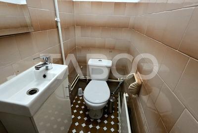 Apartament la casa de inchiriat Orasul de Jos 3 camere 2 bai - 13